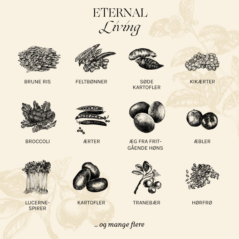 Adult Eternal Living