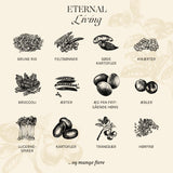 Adult Eternal Living