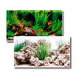Akvariebaggrund 60x150 cm - Maxi Zoo Danmark