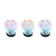 Akvariedek. Anemone 7x7x9 cm - Maxi Zoo Danmark