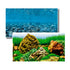 Akvariebaggrund Vision 45x100 cm - Maxi Zoo Danmark