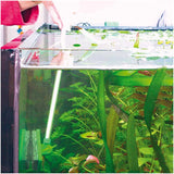 Blanki Glasrenser 45 cm - Maxi Zoo Danmark