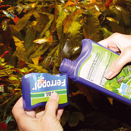 Proflora Ferropol Plantegødning 250 ml - Maxi Zoo Danmark