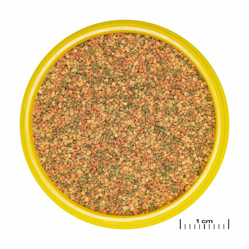 Pronovo Bel Granulat xs 100 ml - Maxi Zoo Danmark