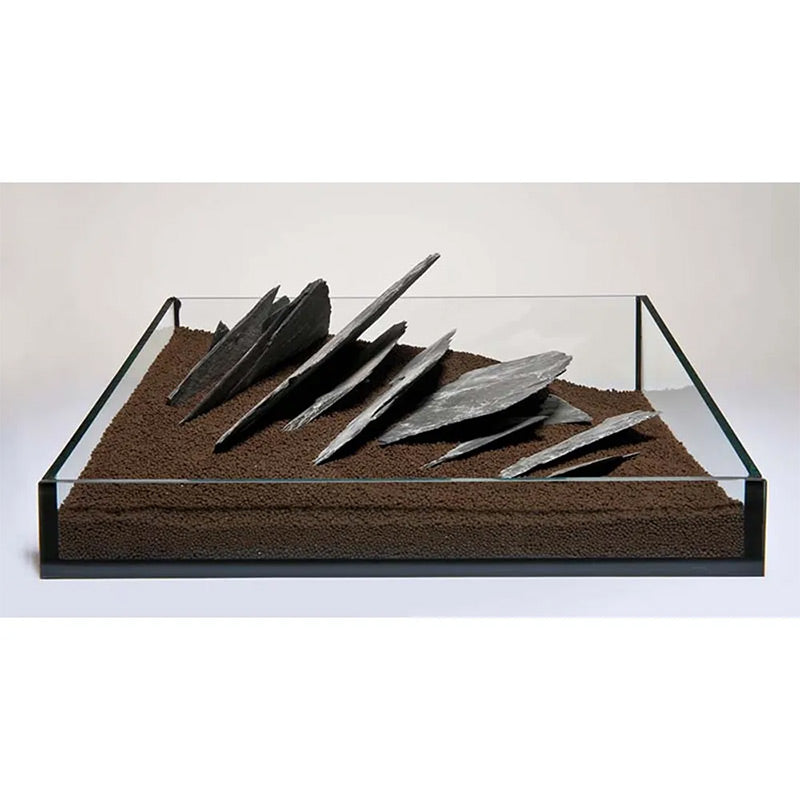 Skiffer 10-30 cm - Maxi Zoo Danmark