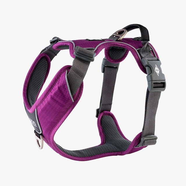 Comfort Walk Pro sele Purple-Passion - Maxi Zoo Danmark