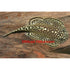 Grøn finnesuger 4 - 6 cm - Maxi Zoo Danmark