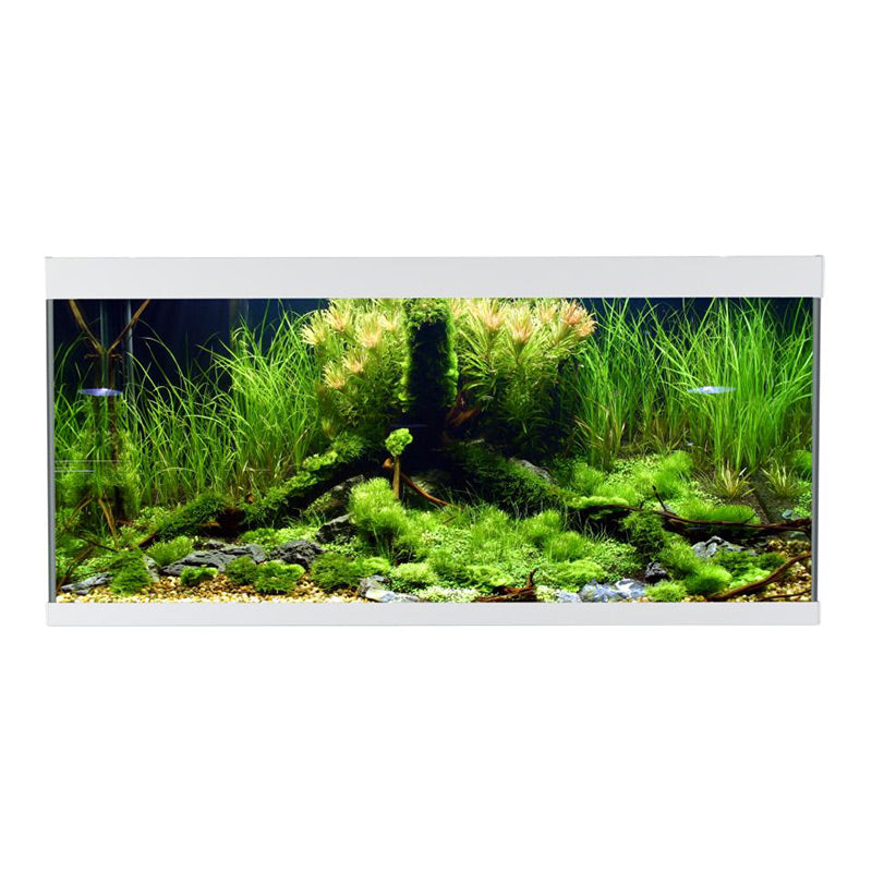 ELEMENT akvarium - Maxi Zoo Danmark