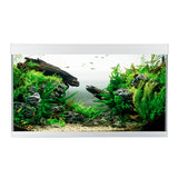 Akvarium ELEMENT  144 l 80x40x48 cm sølv