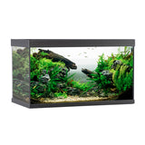 Akvarium ELEMENT  144 l 80x40x48 cm sort