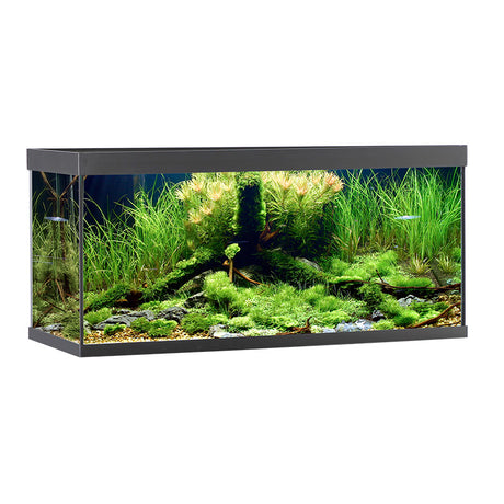 Akvarium ELEMENT  180 l 100x40x48 cm sort