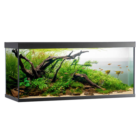 Akvarium ELEMENT  240 l 120x40x53 cm sort