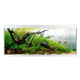 Akvarium ELEMENT  240 l 120x40x53 cm sølv