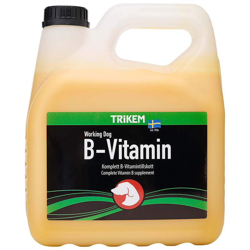 B-vitamin 3 l