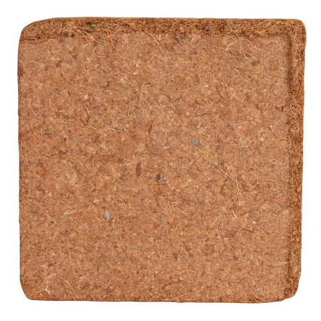 Kokosmuld 2 l/160 g - Maxi Zoo Danmark