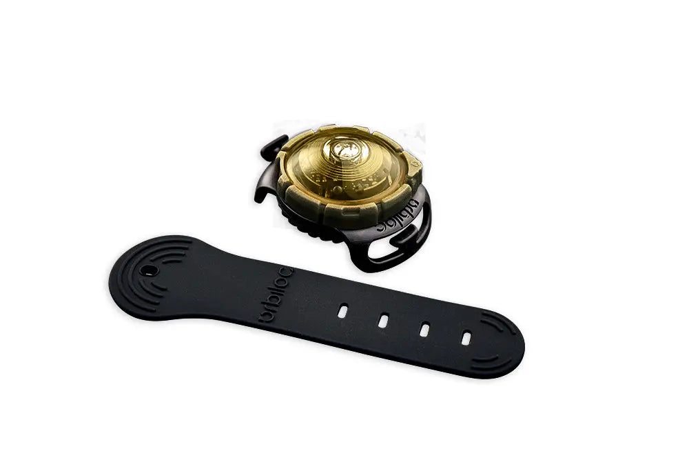 Dog Dual Lygte 48x30x24 mm guld - Maxi Zoo Danmark