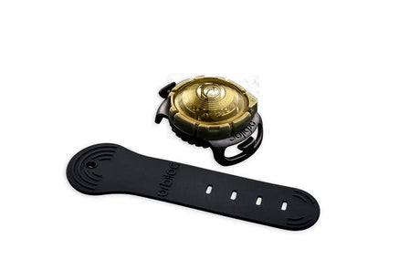 Dog Dual Lygte 48x30x24 mm guld - Maxi Zoo Danmark