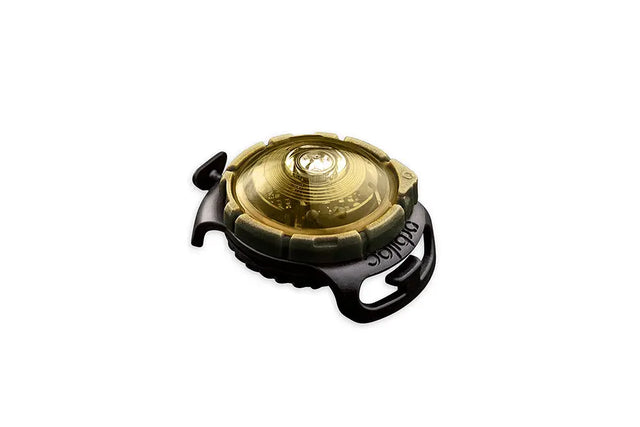 Dog Dual Lygte 48x30x24 mm guld - Maxi Zoo Danmark