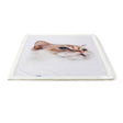 Tæppe til katte120x85 cm - Maxi Zoo Danmark
