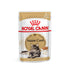 Adult Paté, menuboks pouch Maine Coon, 85 g