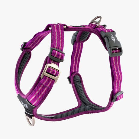 Comfort Walk Air sele Purple-Passion - Maxi Zoo Danmark