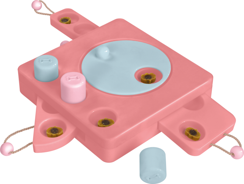 IQ legetøj level 322,8x22,8x8 cm - Maxi Zoo Danmark