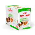 Adult X-small Menuboks 12x85g - Maxi Zoo Danmark