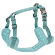 Sele Shiny - Maxi Zoo Danmark