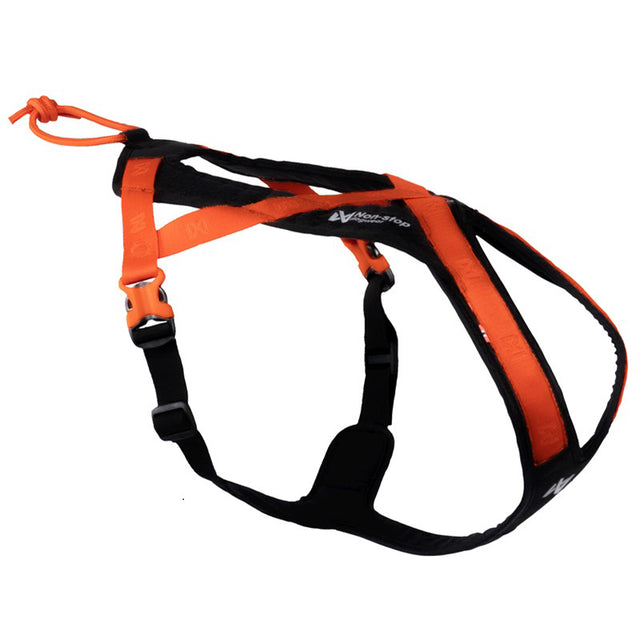 Hundesele Rush sort & orange - Maxi Zoo Danmark