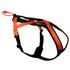 Hundesele Rush sort & orange - Maxi Zoo Danmark