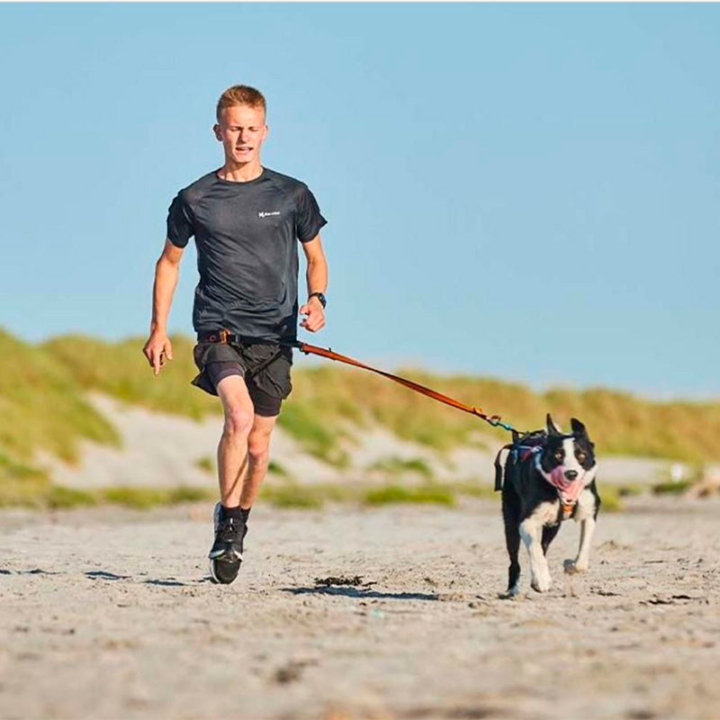 Hundeline bungee - Maxi Zoo Danmark