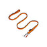 Hundeline bungee - Maxi Zoo Danmark