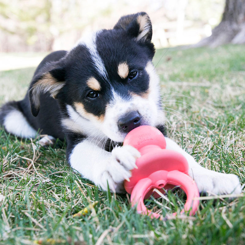 Puppy Binkie - Maxi Zoo Danmark