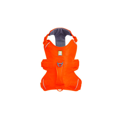 Web Master sele S Balze Orange - Maxi Zoo Danmark