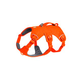 Web Master sele XS Balze Orange - Maxi Zoo Danmark