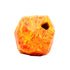 Gnawt-a-Rock hundelegetøj Salamander Orange