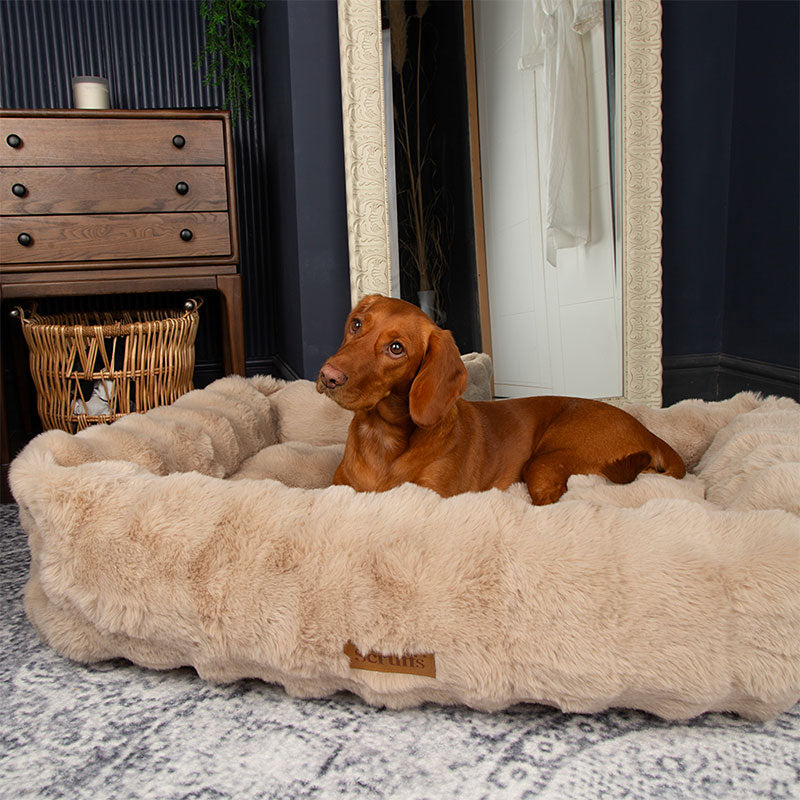 Alpine Box Bed XL 90x70 cm Champagne