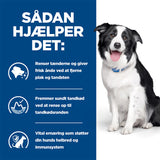 Diætetisk Canine t/d kylling 10 kg