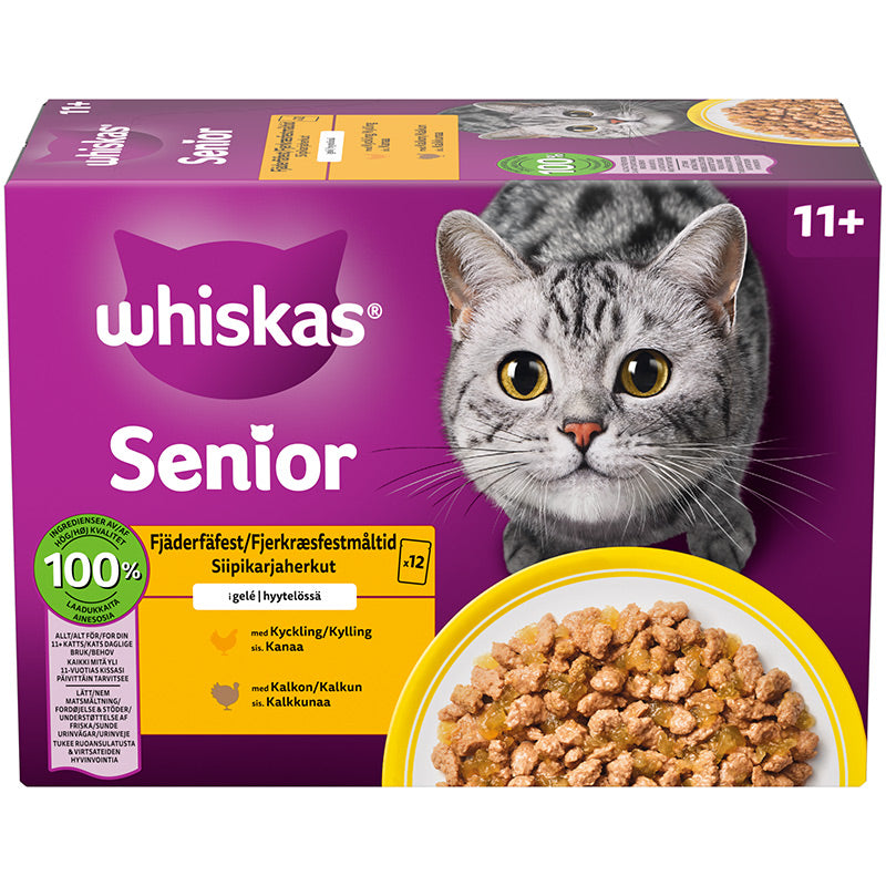 Senior Core 11+ i gelé