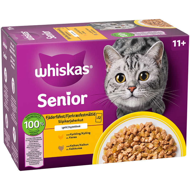 Senior Core 11+ i gelé