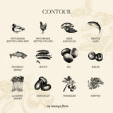 Adult Contour