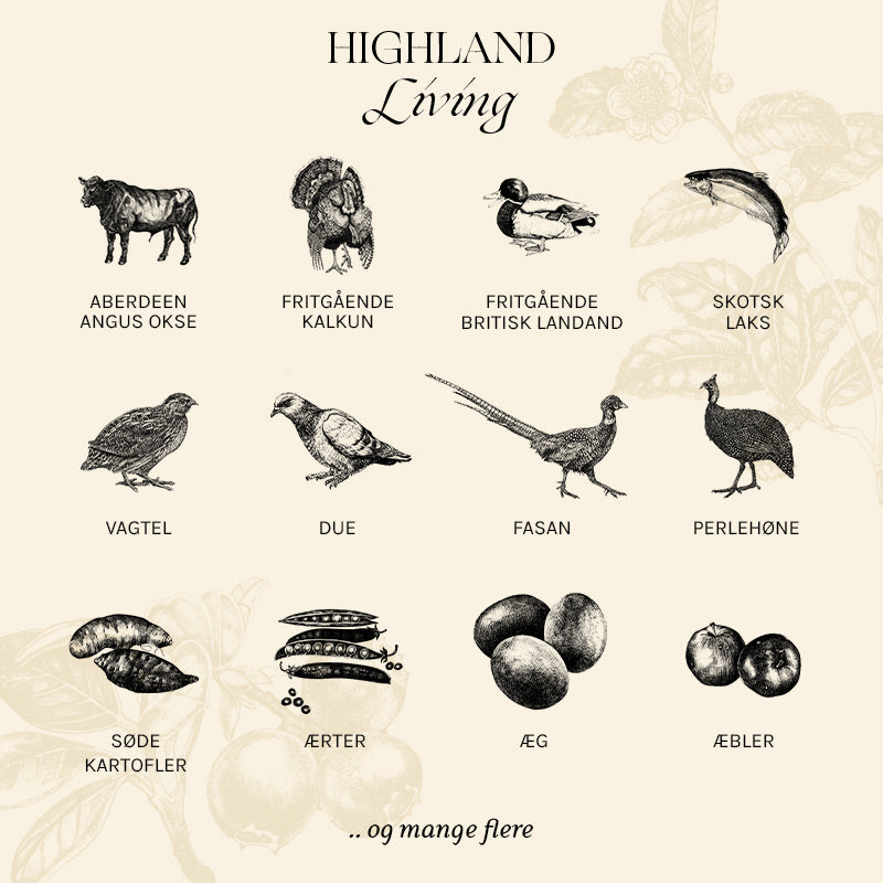 Adult Highland Living