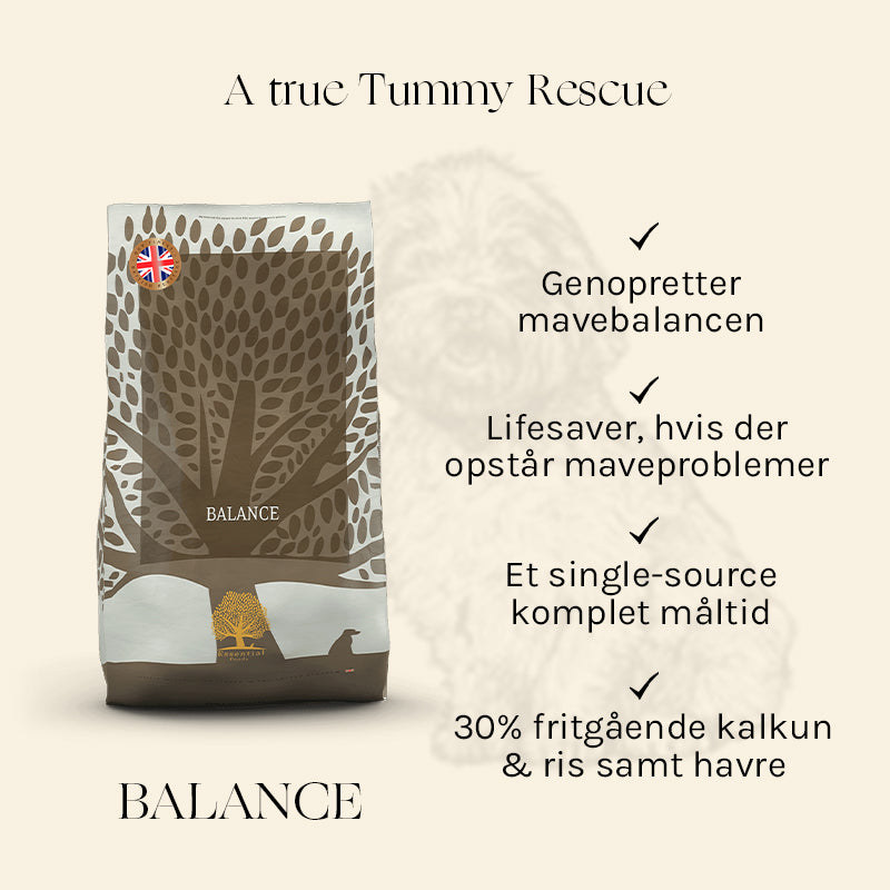 Adult Balance Heritage