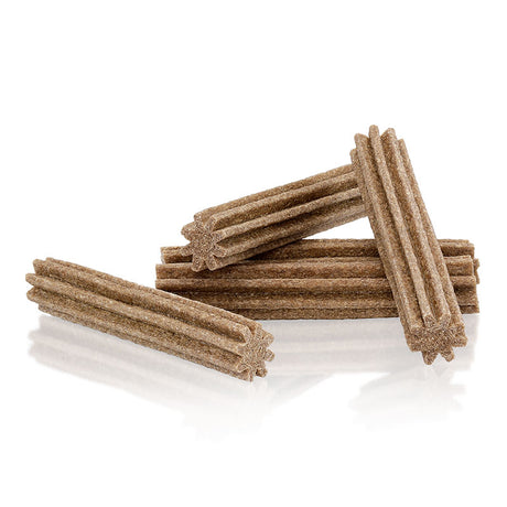 PROBIOTICS AND CINNAMON TEETH DELIGHTS - Maxi Zoo Danmark