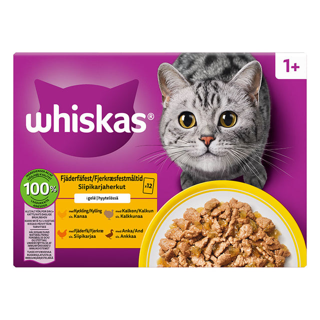 Adult Core 1+ Jelly - Maxi Zoo Danmark