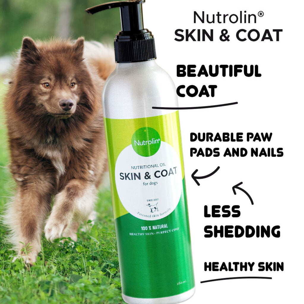 Skin & Coat