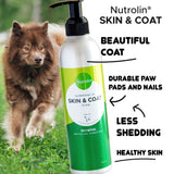 Skin & Coat