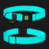Halsbånd WP lumi m/QRkode - 25 mm, 38-58 cm