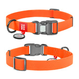 Halsbånd WP orange m/QRkode - 25 mm, 38-58 cm