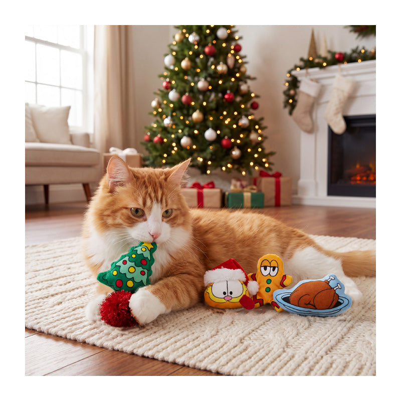 Kattelegetøj Garfield